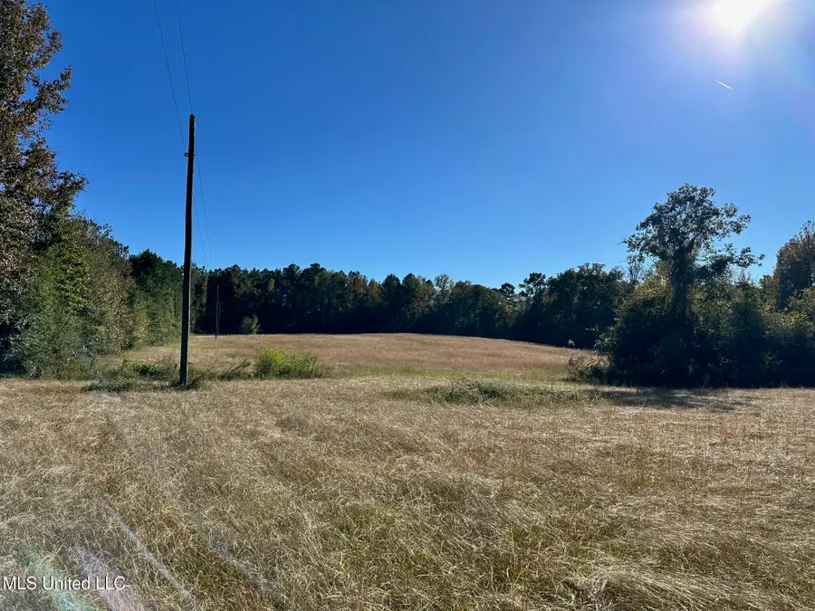 Clara Foote Road, Braxton, MS 39044 - Image #2