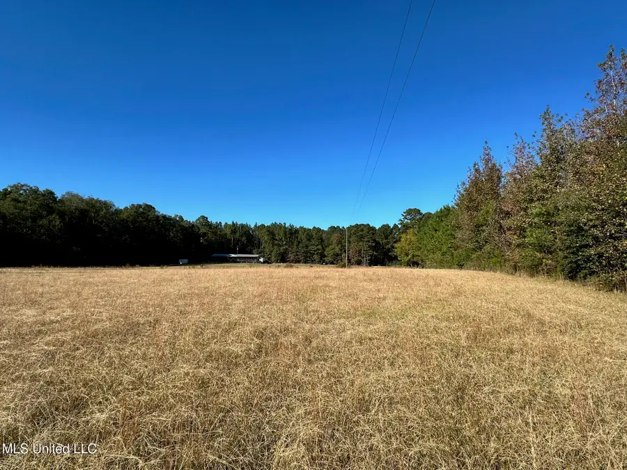 Clara Foote Road, Braxton, MS 39044 - Image #3