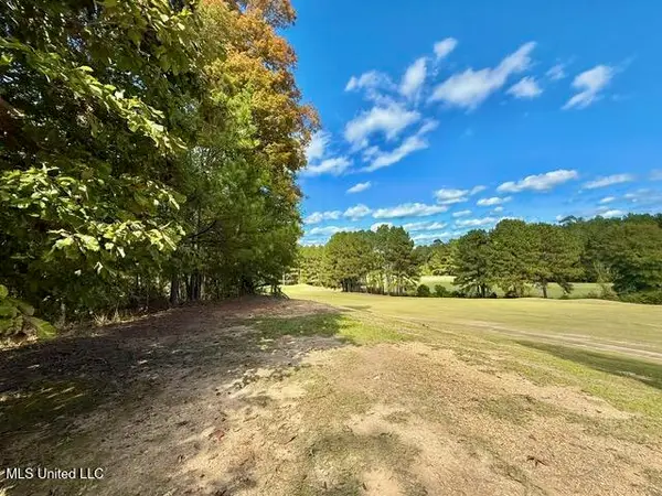 00 Milltowne Drive, Wesson, MS 39191