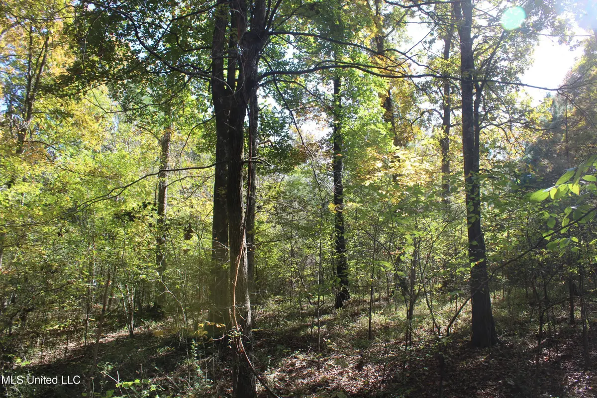 74 Cutter Cove, Byhalia, MS 38611 - Image #1