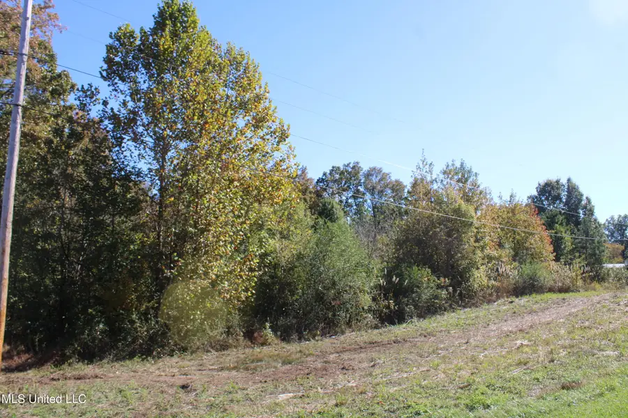 74 Cutter Cove, Byhalia, MS 38611 - Image #3