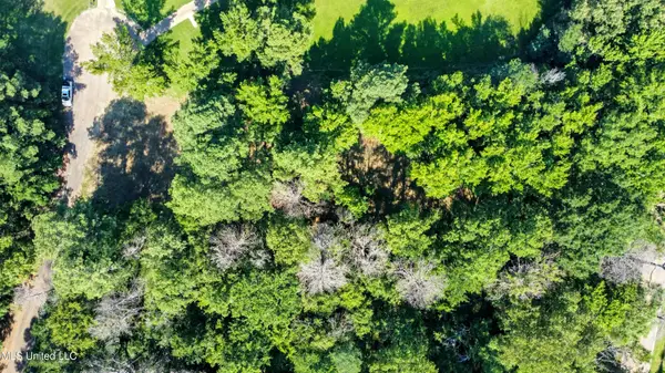 0 Lakeridge Cove, Clinton, MS 39056