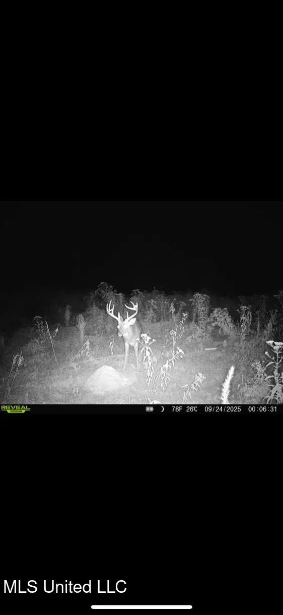 Highway 12, Tchula, MS 39169