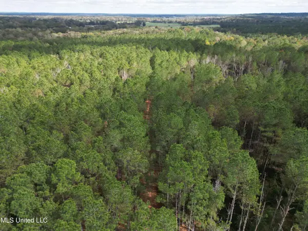 503 S Hwy 13, Mendenhall, MS 39114