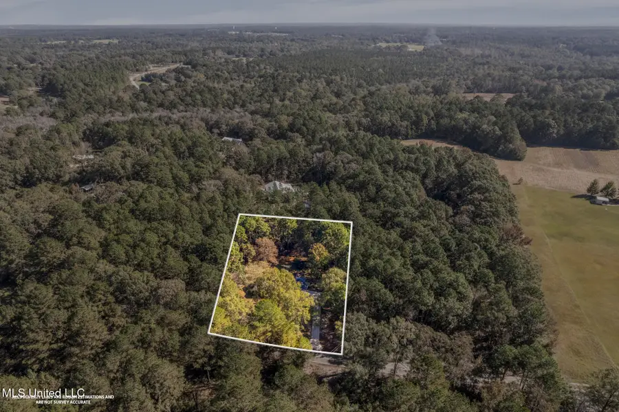 304 Boggy Hollow Road, Purvis, MS 39475 - Image #3