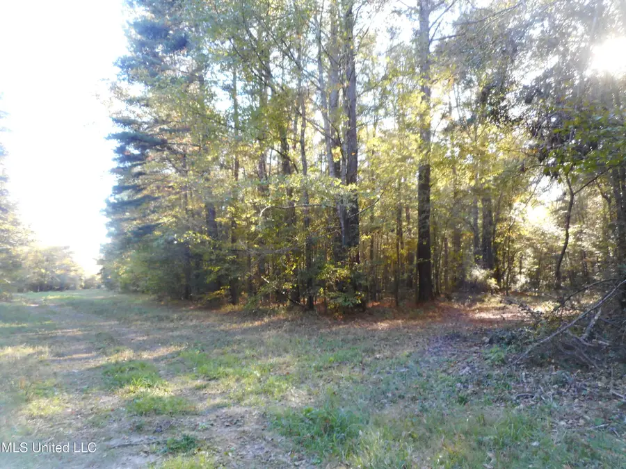 E-s Drive, Braxton, MS 39044 - Image #2