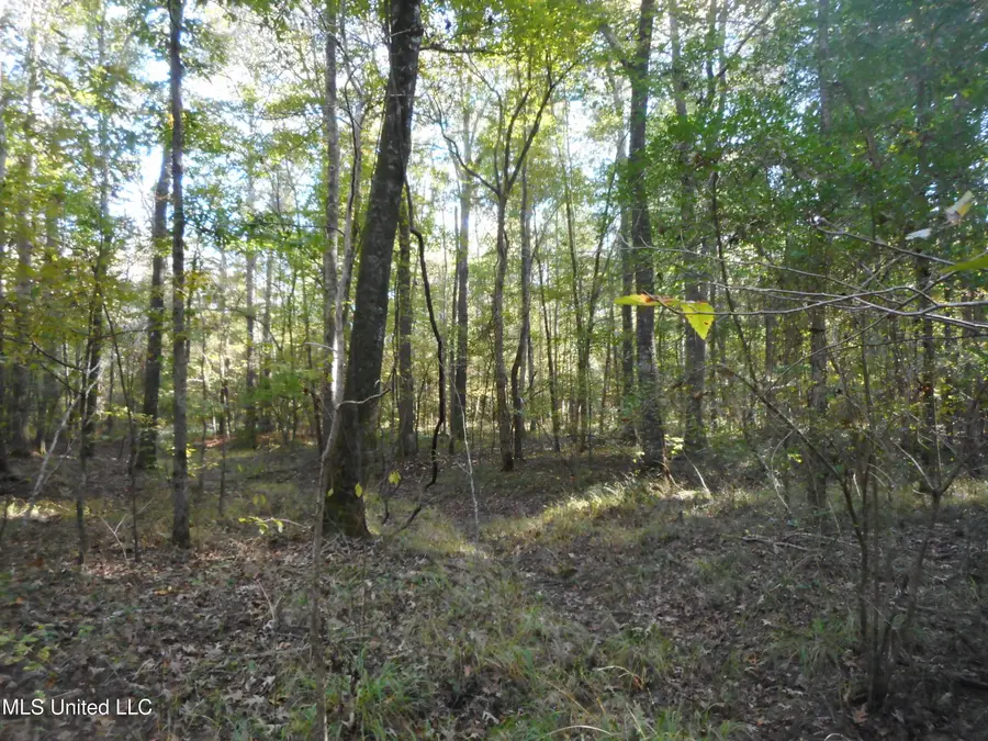 E-s Drive, Braxton, MS 39044 - Image #3