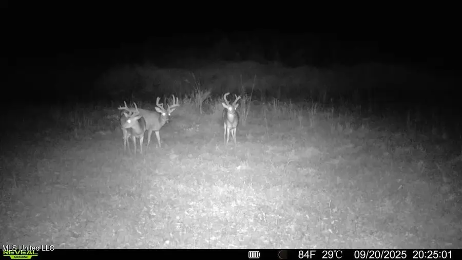 Ebenezer Church Road, Bassfield, MS 39421 - Image #2