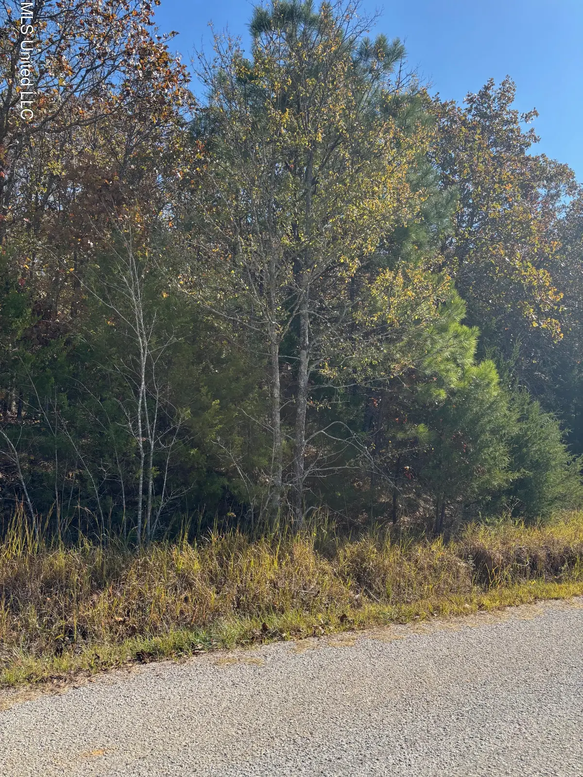 139 David Cove, Byhalia, MS 38611 - Image #1