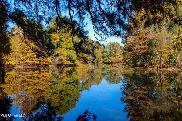 636 Livingston Vernon Road, Flora, MS 39071