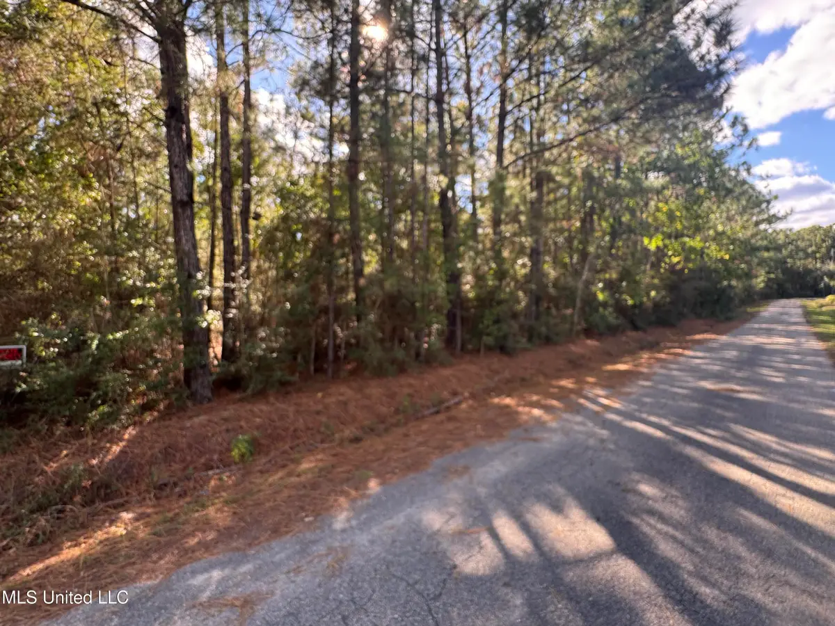 7190 Cantania Road, Bay Saint Louis, MS 39520 - Image #1