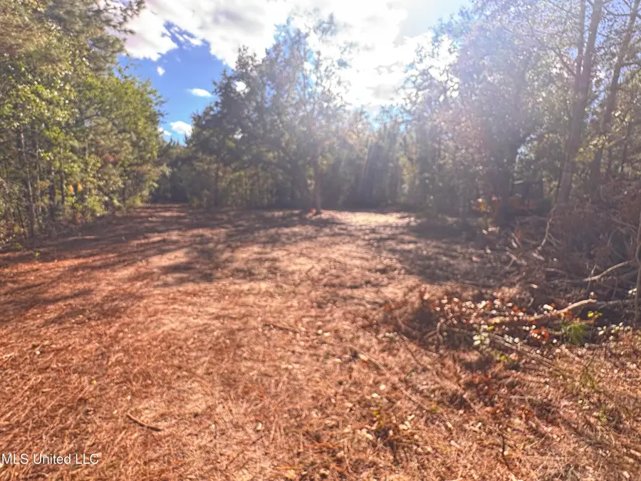 7190 Cantania Road, Bay Saint Louis, MS 39520 - Image #3