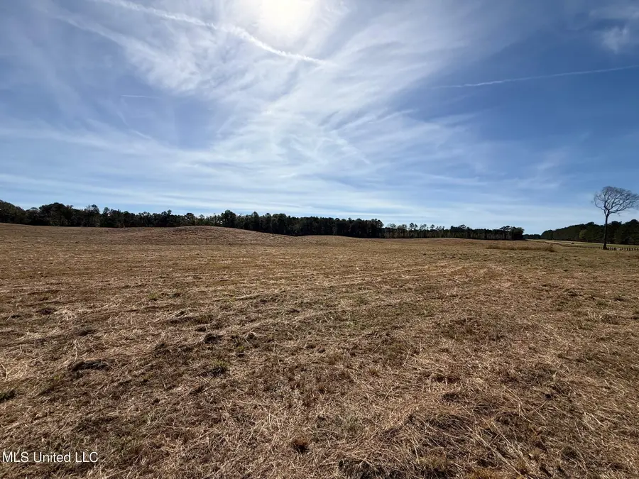 Hwy-25 N, Carthage, MS 39051 - Image #3