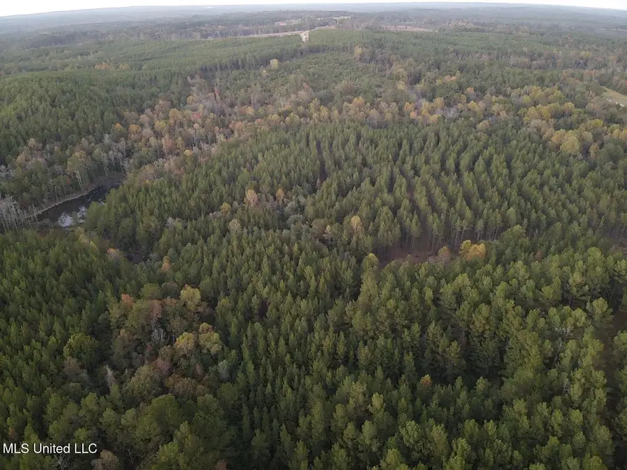 County Rd 77, Mize, MS 39116 - Image #2