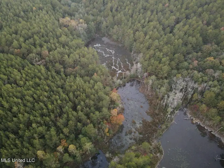 County Rd 77, Mize, MS 39116 - Image #3