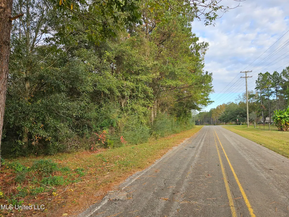 Mt Sinai Road, Foxworth, MS 39483 - Image #1