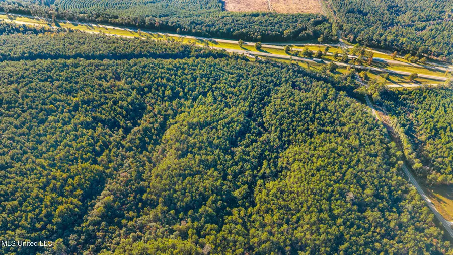 I59-savannah Millard Road, Poplarville, MS 39470 - Image #2
