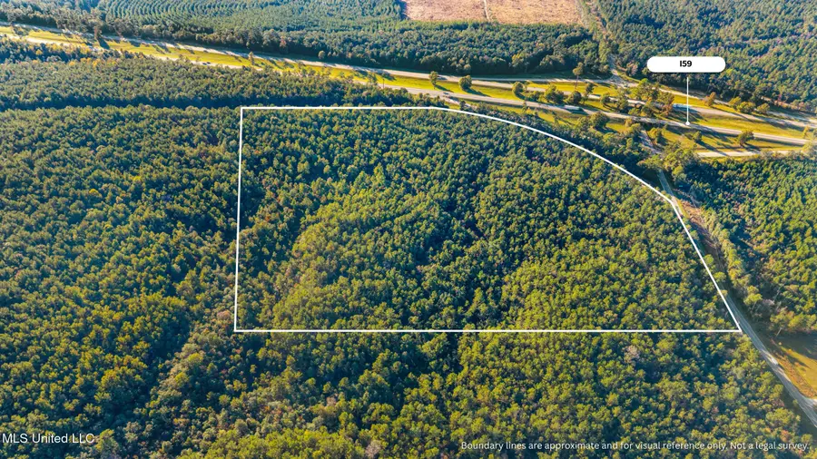 I59-savannah Millard Road, Poplarville, MS 39470 - Image #3