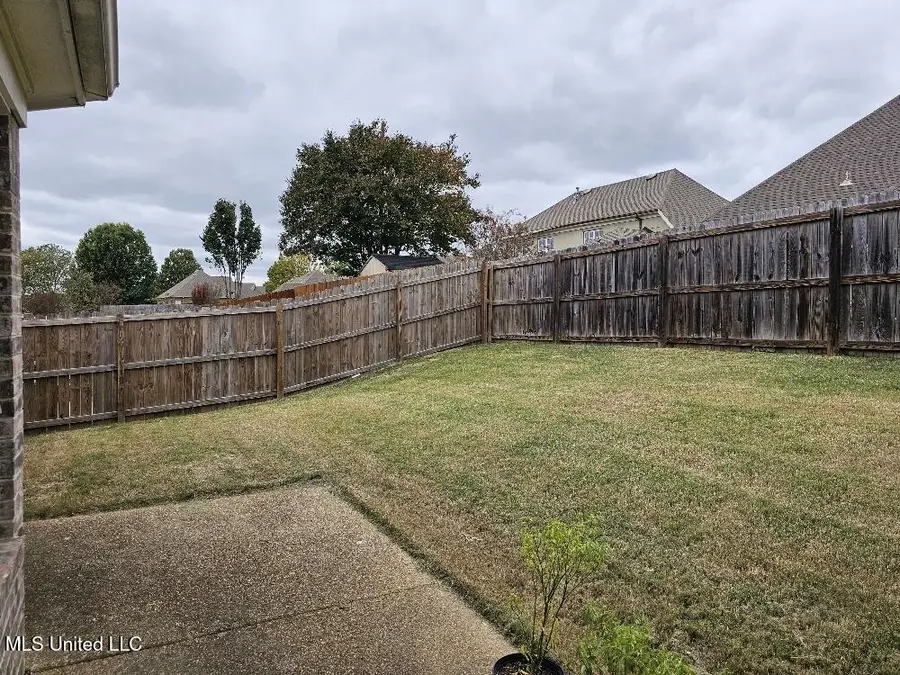 2976 Dawkins Cove Court, Southaven, MS 38672 - Image #2