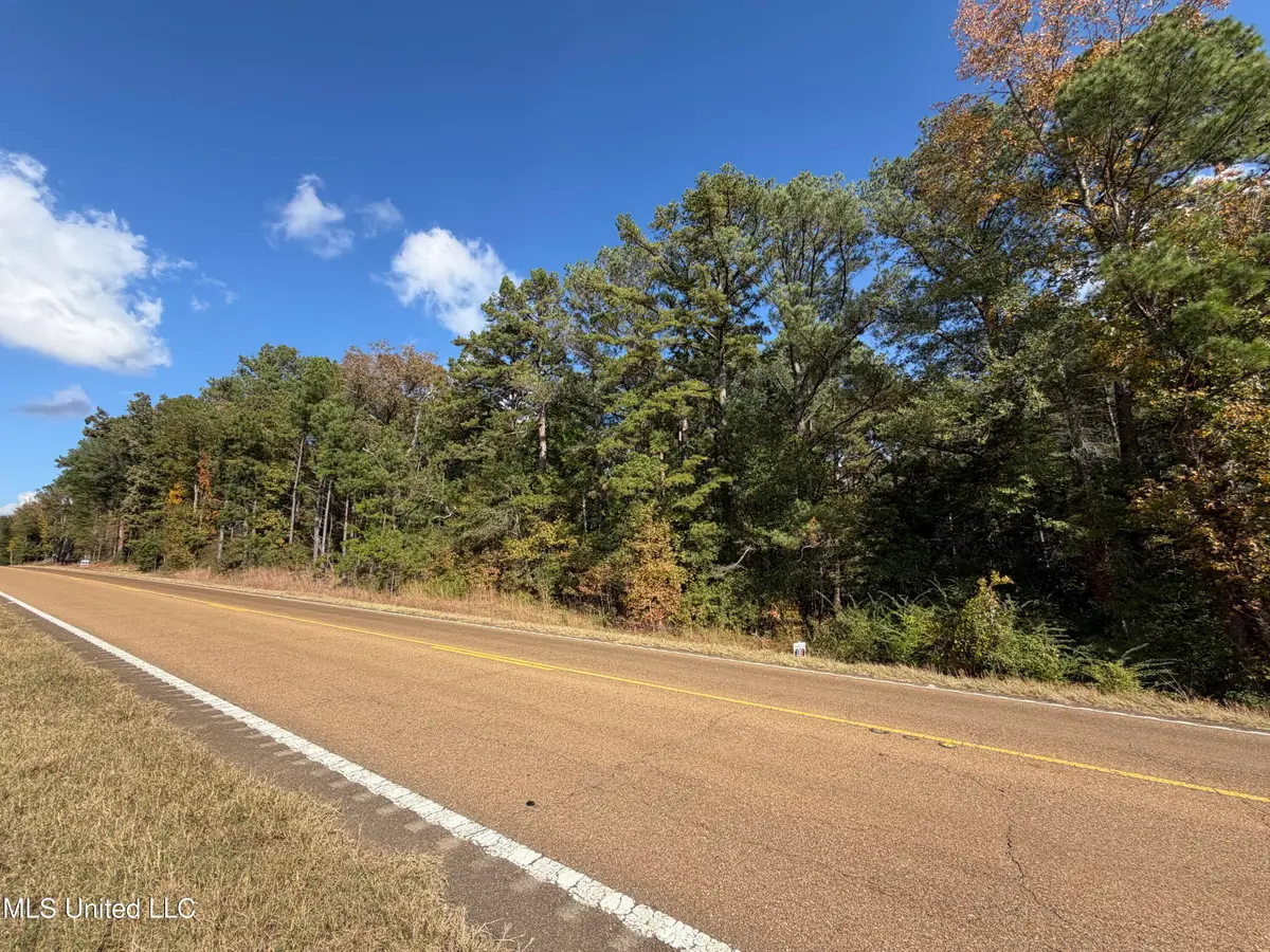 Highway 35 N, Carthage, MS 39051 - Image #1