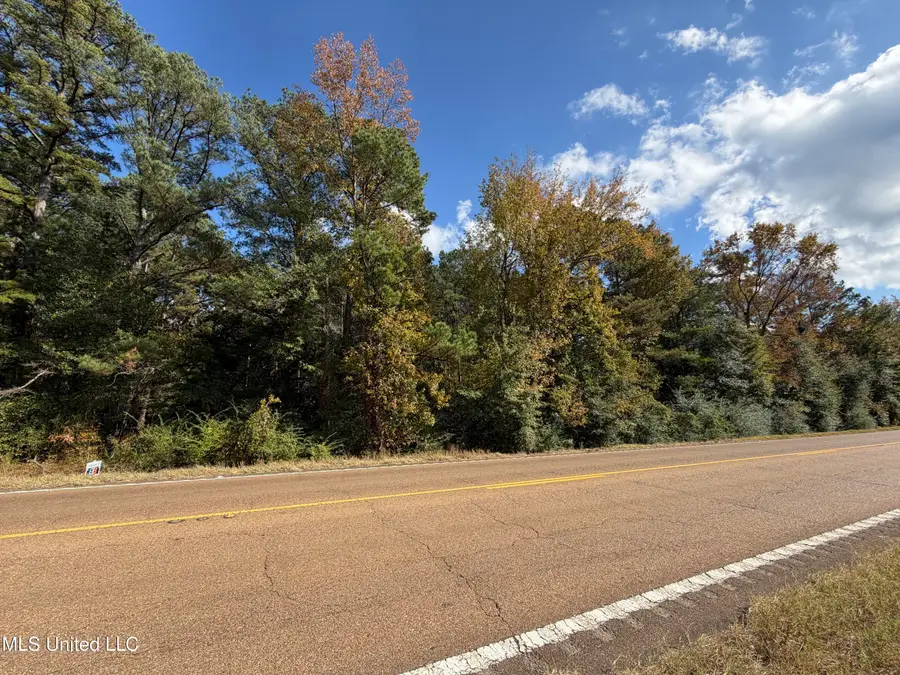 Highway 35 N, Carthage, MS 39051 - Image #2