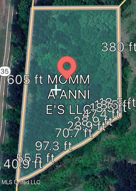 Highway 35 N, Carthage, MS 39051 - Image #3