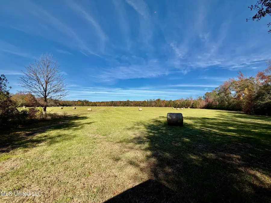 6910 Bowling Green Road, Durant, MS 39063 - Image #2