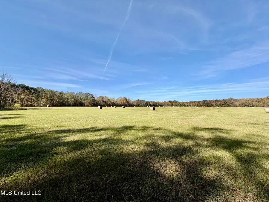 6910 Bowling Green Road, Durant, MS 39063 - Image #3