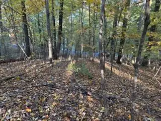 11331 Mingo Drive, Hernando, MS 38632 - Image #2