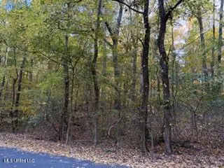 11331 Mingo Drive, Hernando, MS 38632 - Image #3