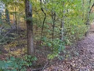 11323 Mingo Drive, Hernando, MS 38632 - Image #2