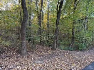 11323 Mingo Drive, Hernando, MS 38632 - Image #3