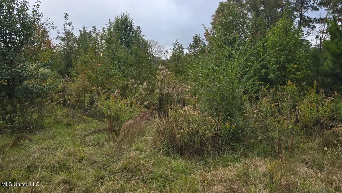 2077 W County Line Road, Summit, MS 39666 - Image #1