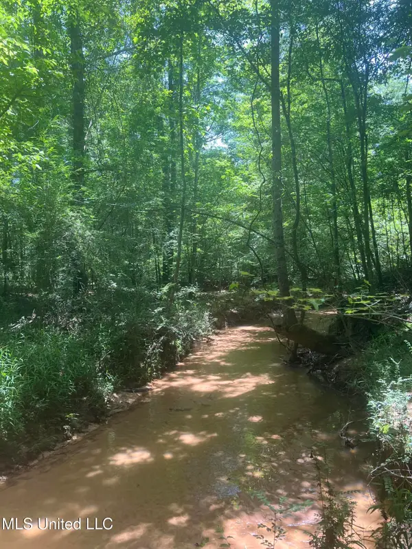 Springhill Church Road, Waynesboro, MS 39367