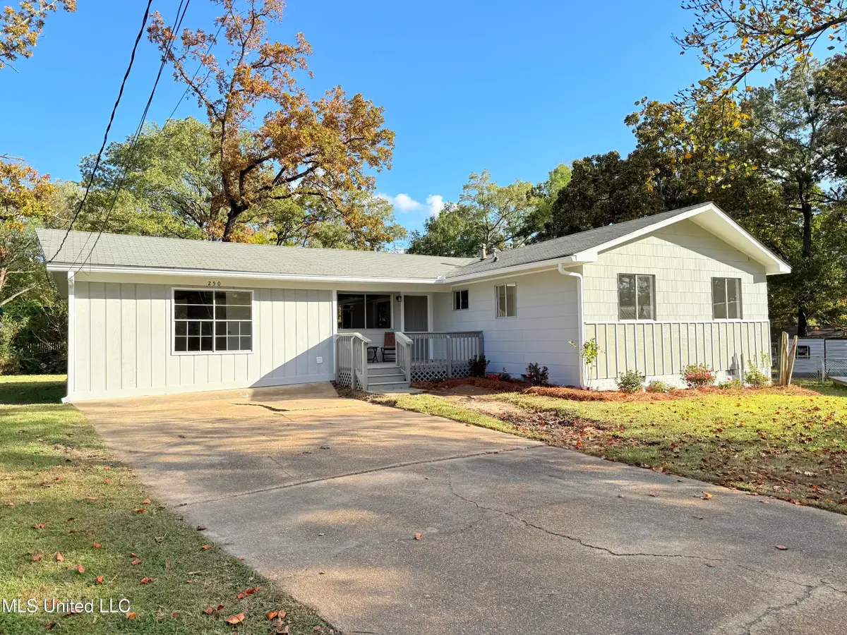 250 Maxine Circle, Pearl, MS 39208 - Image #1