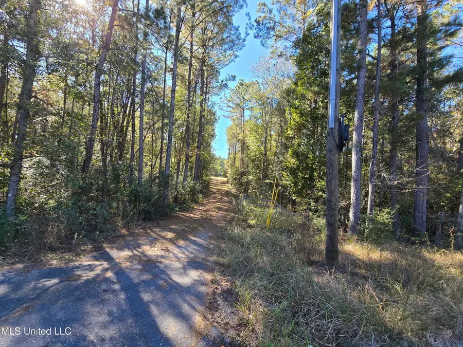 2243 Central Firetower Road, Lucedale, MS 39452 - Image #2