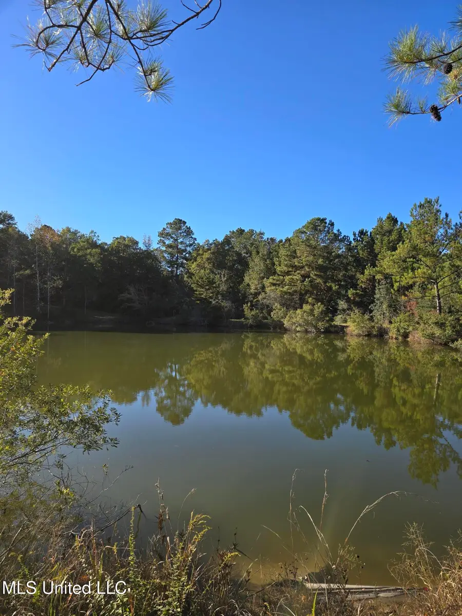 2243 Central Firetower Road, Lucedale, MS 39452 - Image #3