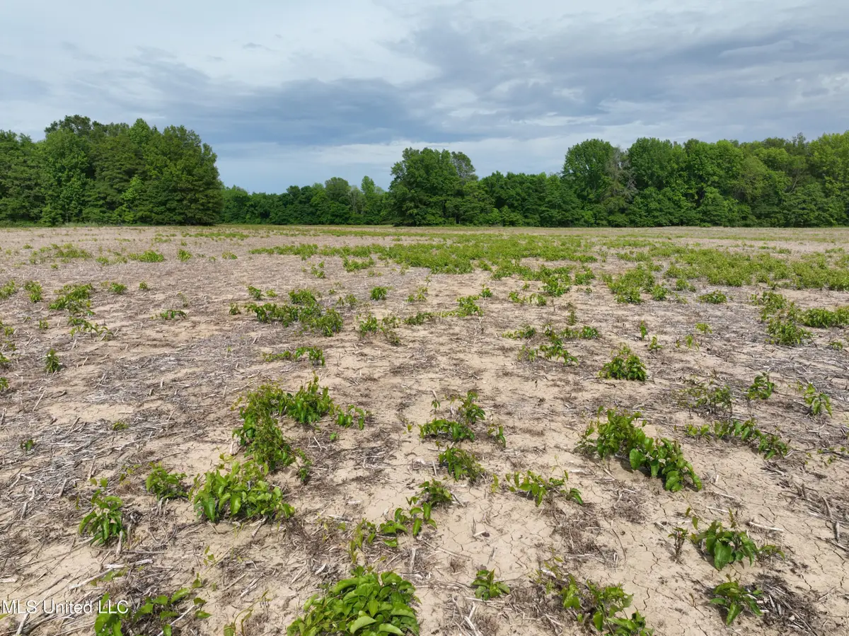 1 Hampton Lake Road, Glendora, MS 38928 - Image #1