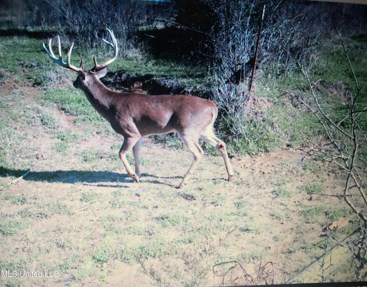 001 Farr Road, Bolton, MS 39041 - Image #1