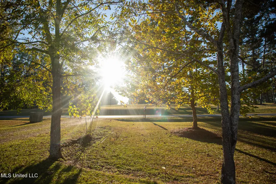 4457 Newton Conehatta Road, Newton, MS 39345 - Image #3