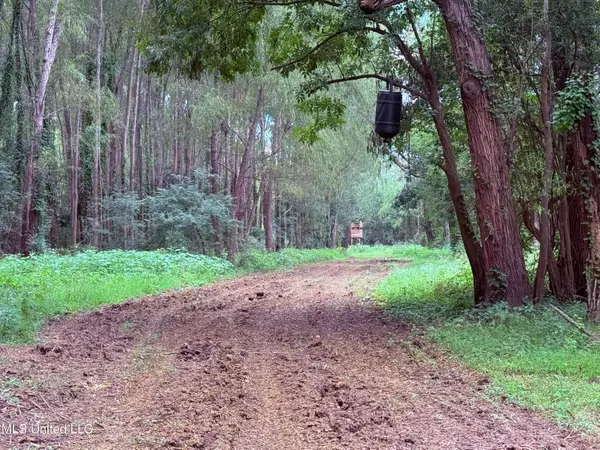 Bourke Road, Natchez, MS 39120