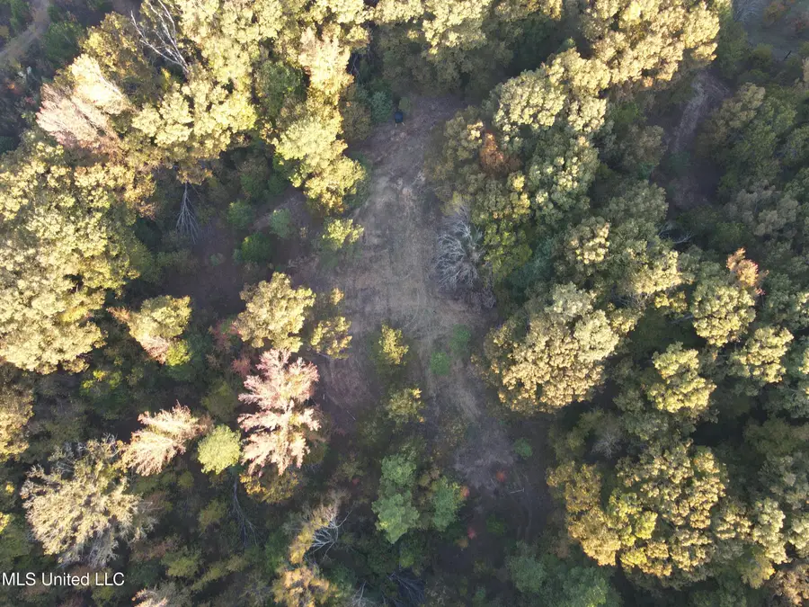 Franklin Drive, Batesville, MS 38606 - Image #2