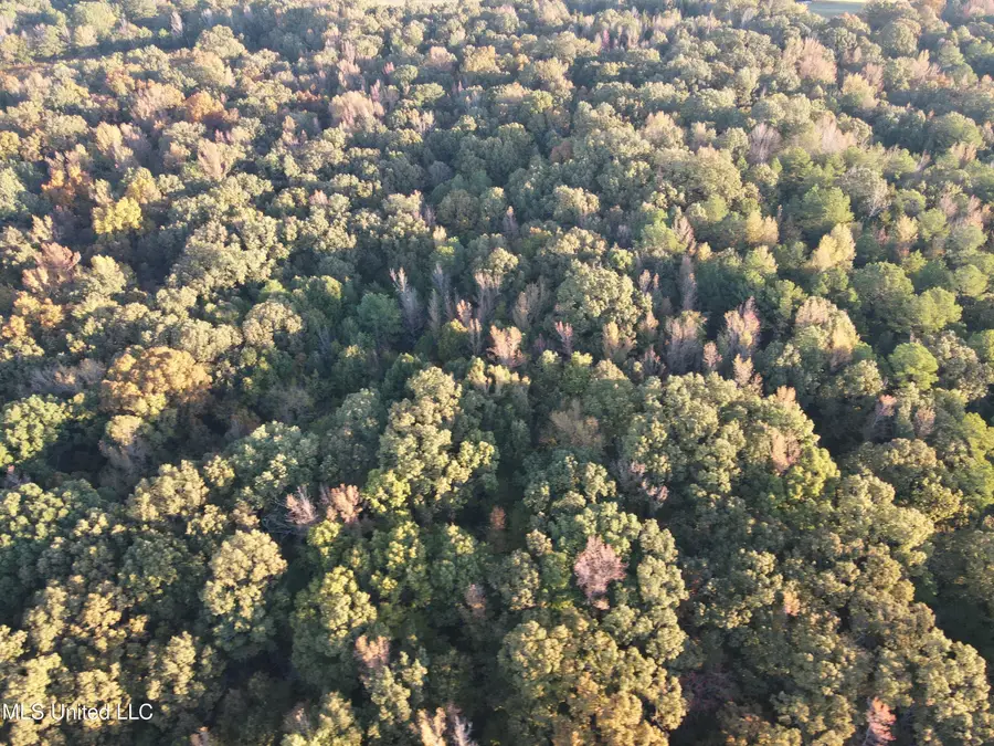 Franklin Drive, Batesville, MS 38606 - Image #3