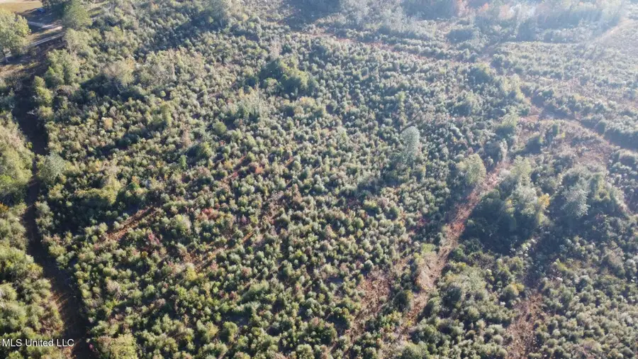 280 Pushapatapa Road, Tylertown, MS 39667 - Image #2