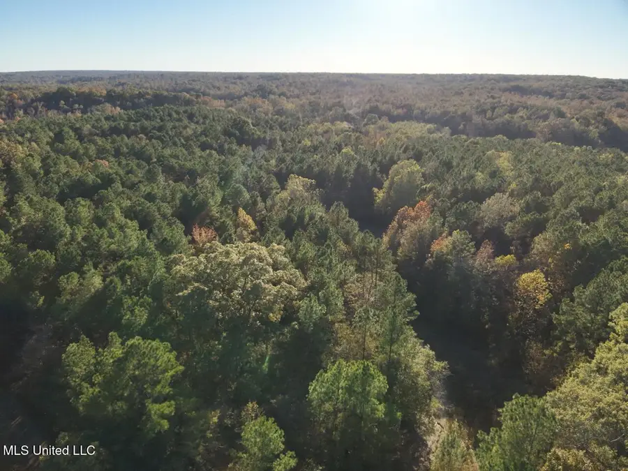 Perry Creek, Bentonia, MS 39040 - Image #2