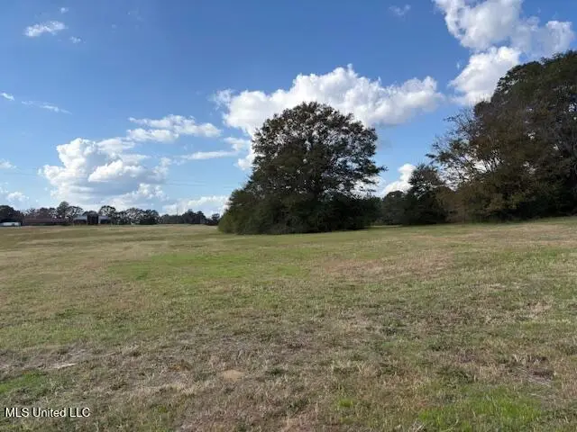 Midway Odom Road, Forest, MS 39074 - Image #3