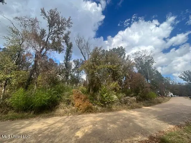 Lot 3 Bridgewater Bend, Ridgeland, MS 39157 - Image #2