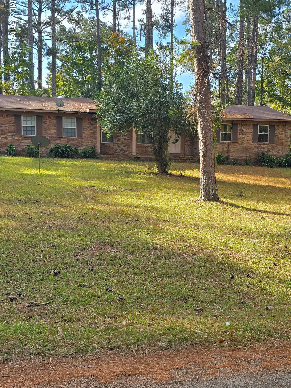 256 Pinehurst Circle, Hazlehurst, MS 39083 - Image #1