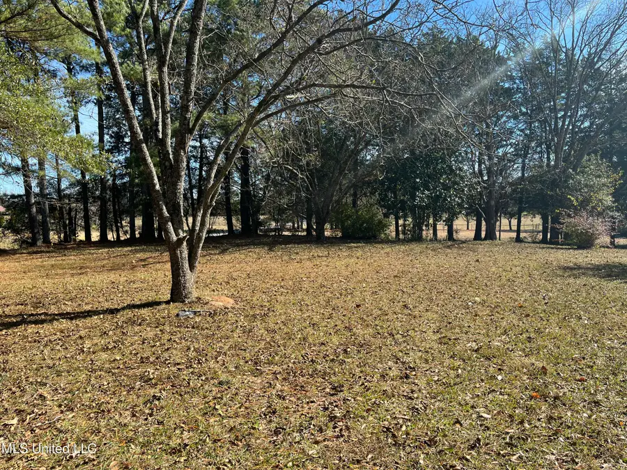 1208 Cr 96, New Albany, MS 38652 - Image #3