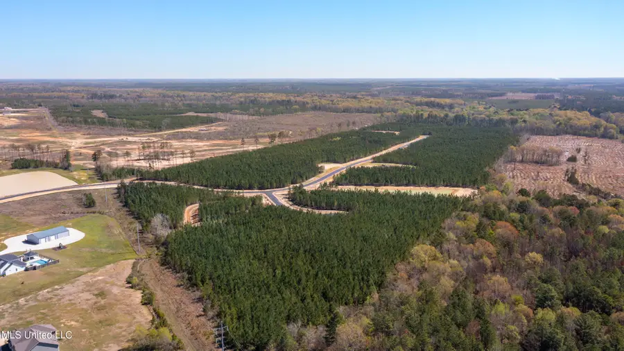 737 Freedom Ridge Lane, Brandon, MS 39047 - Image #2